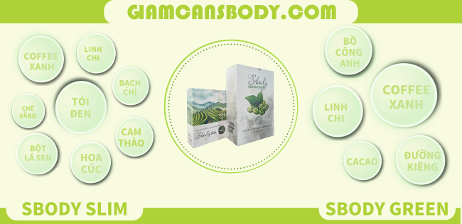 Thành phần của sbody slim, sbody green coffee